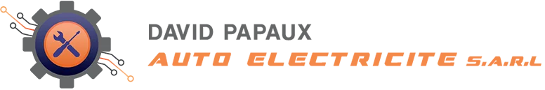 Logo David Papaux
